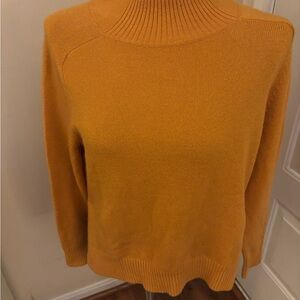 Banana Republic Golden Turtleneck Sweater